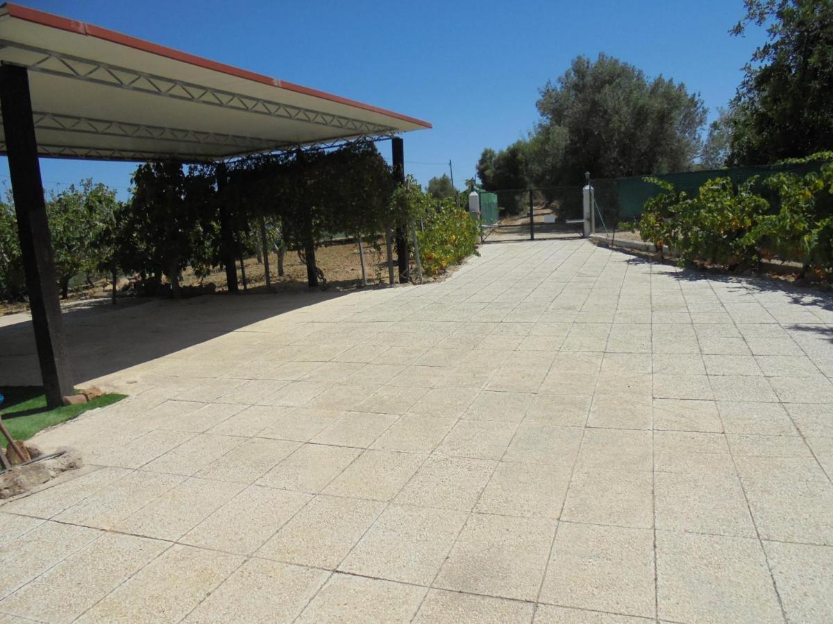Silence Of The Birds Villa Olhao Exterior photo